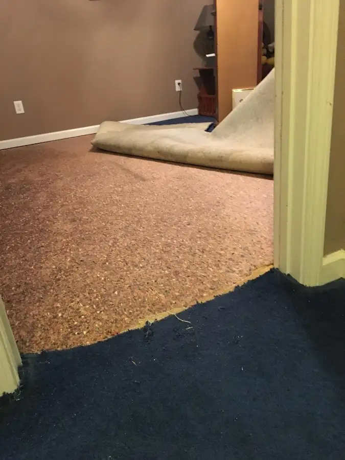 Carpet pad removal revealing water damage during Water Mitigation Services in Anacortes