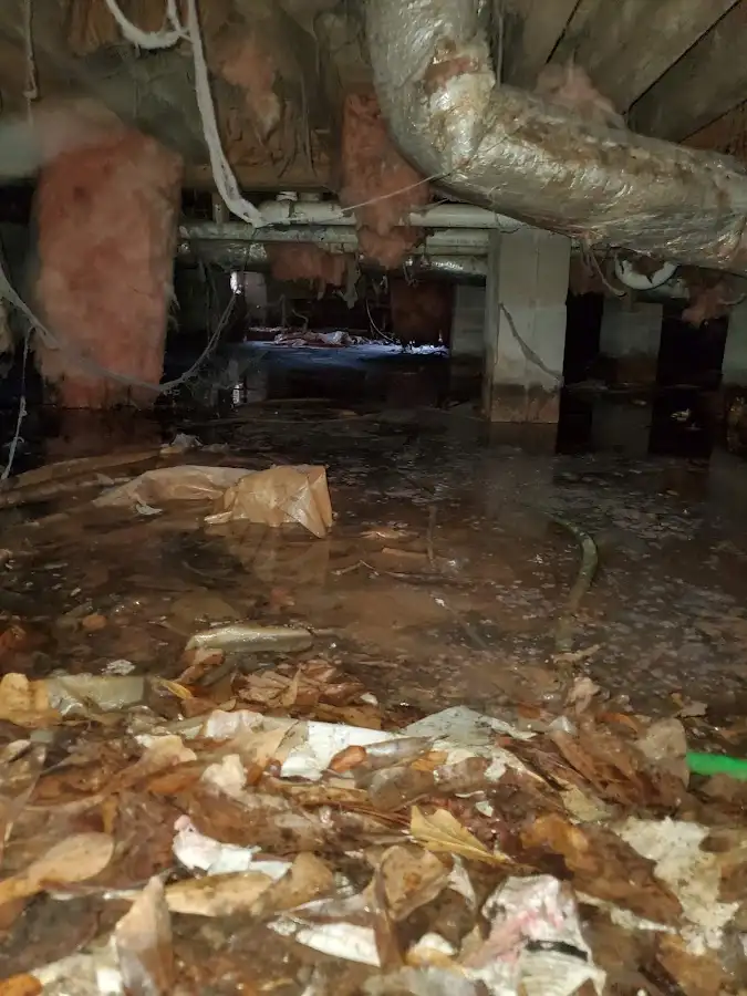 Crawl space flood assessment for Commercial Water Damage Restoration in Anacortes